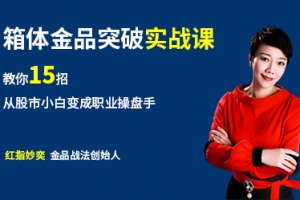 股市实战课：从小白到职业操盘手
