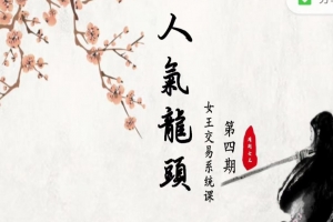 女王低吸人气龙头《女王交易系统课》第四期