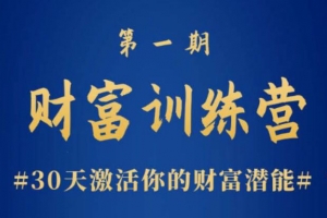 晚情《财富训练营》30天激活你的财富潜能课程