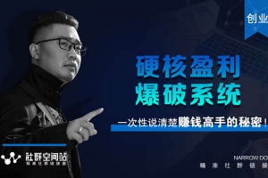 社群空间站VIP课程《硬核盈利爆破系统》音频