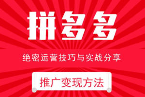 电商运营之拼多多推广变现方法