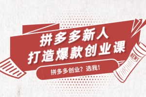 搜外网拼多多新人打造爆款创业课