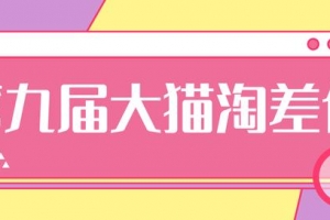 大猫淘差价第九届,淘宝如何选择关键词+选品+补单等