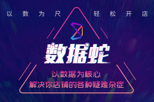 数据蛇三大补单玩法课程