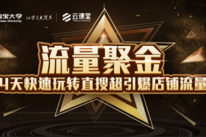 流量聚金14天快速玩转直搜，超引爆店铺流量