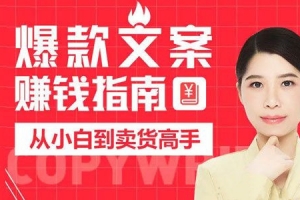 兔妈《爆款文案赚钱指南》从小白到卖货高手