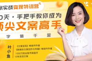 叶小鱼 30天手把手教你成为顶尖文案高手