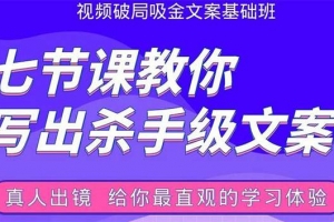 张根视频破局吸金文案班：七节课教你写出杀手级文案