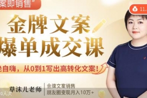 金牌文案爆单成交课，从0到1写出高转化文案