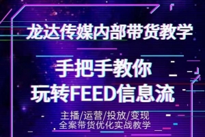 龙达传媒手把手教你玩转抖音FEED信息流课程视频