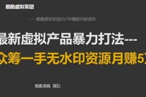 2021年虚拟产品暴力打法：众筹一手无水印资源月赚5万+
