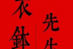 衣钵先生新风口项目