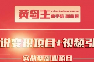 黄岛主小说变现副业项目