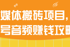 自媒体搬砖项目，头条号音频赚钱攻略！