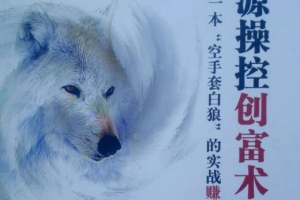 李才文资源操控创富术3.0pdf电子书下载