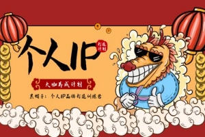 黑帽子：个人IP品牌打造训练营，大咖养成计划课程视频