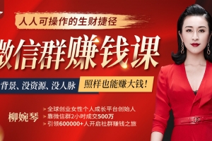 柳婉琴《微信群赚钱课》从月薪2000到月入过万