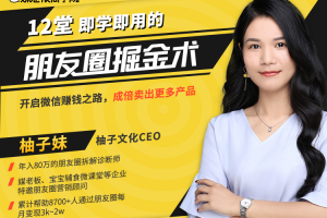 12堂朋友圈掘金术：开启副业赚钱之路，成倍卖出更多产品！