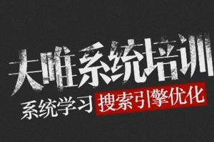 夫唯SEO系统教程24节培训视频