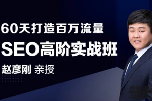 赵彦刚60天轻松学会如何打造百万SEO流量实操！