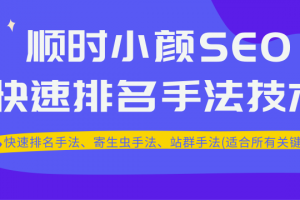 顺时小颜SEO快速排名手法技术教程