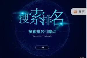 2021王通《搜索排名引爆点》课程