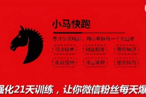 小马快跑引流培训高级课：教你被动引流日均100+精准客户