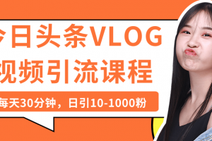 今日头条VLOG视频引流课程：每天30分钟，日引10-1000粉