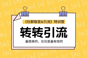 胜子老师转转引流课程视频