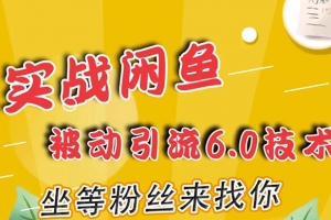 狼叔闲鱼引流6.0课程
