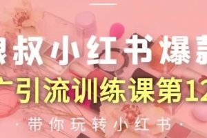 狼叔小红书爆款推广引流训练课第12期