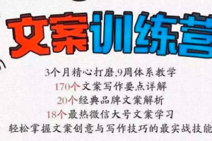 龙小天文案训练营第二期