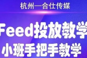 合仕传媒FEED投放教学，小班手把手教学