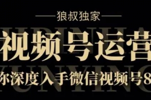 狼叔视频号8.0运营实战课