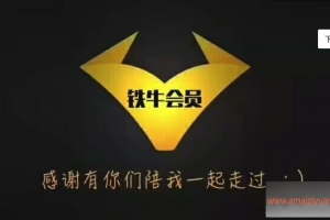 【铁牛人会员课】男人必备技能，理论讲解+实战高清视频