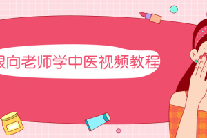 跟向老师学中医视频教程