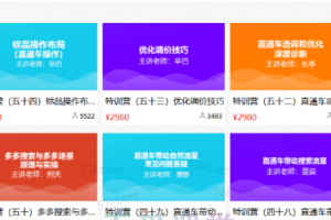 多多大师VIP拼多多运营培训课程