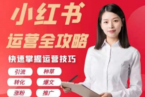 小红书运营全攻略，打造爆文，日吸万粉