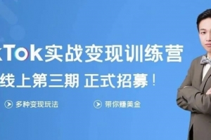 龟课《Tik Tok变现实战训练营3期》课程视频