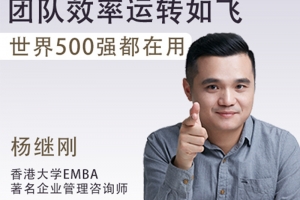 管理秘籍10讲 团队效率运转如飞，世界500强都在用