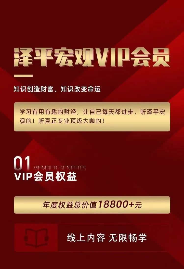 任泽平《泽平宏观VP会员》视频+音频