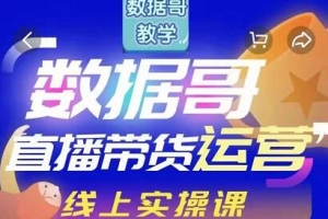 数据哥直播带货运营线上进阶课视频