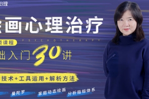 雷秀雅绘画心理治疗基础入门30讲