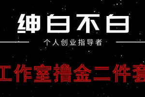 绅白不白·工作室撸金小红书头条项目