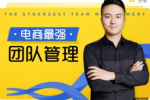 大圣老师《电商最强团队管理》视频