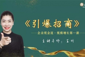 王昕《引爆招商》，企业现金流，规模增长第一课
