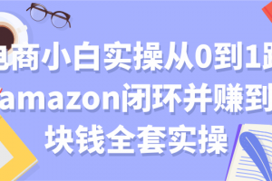 电商小白实操从0到1跑通AMAZON赚到一块钱实操【付费文章】