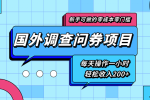 国外调查问券项目，每天一小时轻松收入200+
