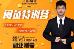 翼牛学堂·闲鱼精英特训营进阶班视频