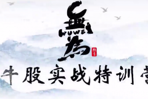 无为学院牛股实战特训营18节课程视频